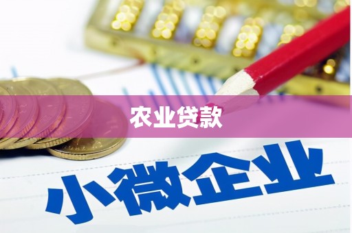 剑川农业贷款
