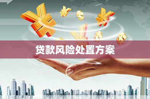 剑川贷款风险处置方案