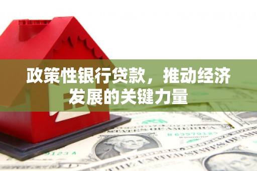 剑川政策性银行贷款，推动经济发展的关键力量