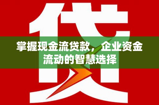 剑川掌握现金流贷款，企业资金流动的智慧选择