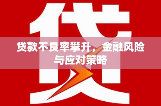剑川贷款不良率攀升，金融风险与应对策略
