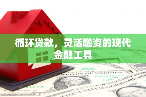 剑川循环贷款，灵活融资的现代金融工具