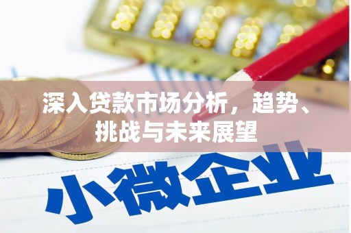 剑川深入贷款市场分析，趋势、挑战与未来展望