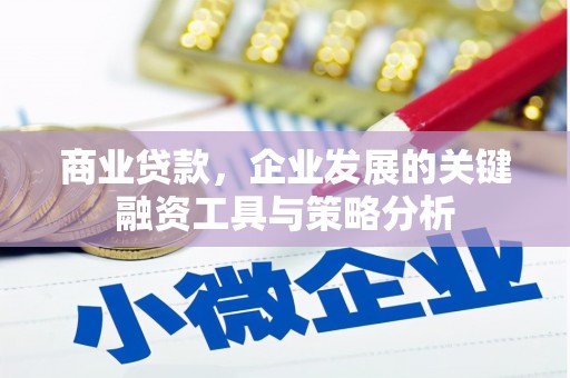 剑川商业贷款，企业发展的关键融资工具与策略分析