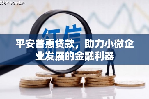 剑川平安普惠贷款，助力小微企业发展的金融利器