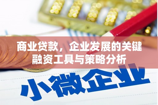 剑川商业贷款，企业发展的关键融资工具与策略分析