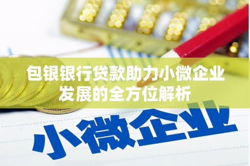 剑川包银银行贷款助力小微企业发展的全方位解析