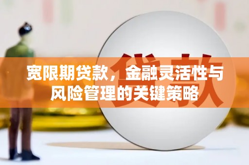 剑川宽限期贷款，金融灵活性与风险管理的关键策略