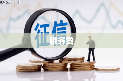 剑川税务贷