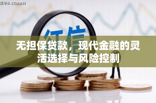 剑川无担保贷款，现代金融的灵活选择与风险控制
