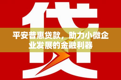 剑川平安普惠贷款，助力小微企业发展的金融利器