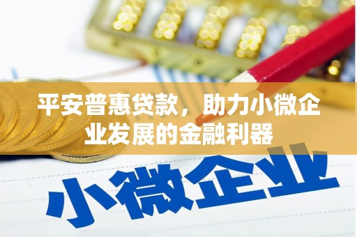 剑川平安普惠贷款，助力小微企业发展的金融利器