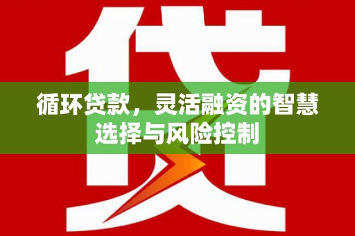 剑川循环贷款，灵活融资的智慧选择与风险控制