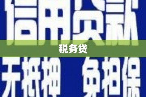 剑川税务贷