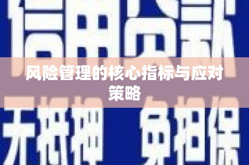 剑川风险管理的核心指标与应对策略