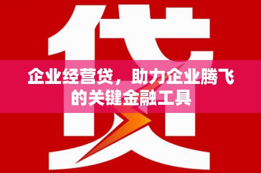 剑川企业经营贷，助力企业腾飞的关键金融工具