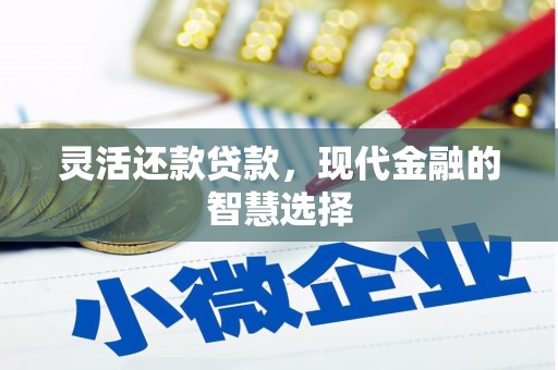 剑川灵活还款贷款，现代金融的智慧选择