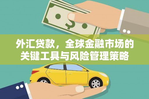 剑川外汇贷款，全球金融市场的关键工具与风险管理策略