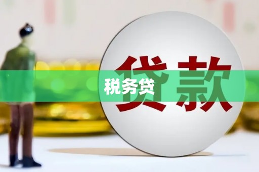 剑川税务贷