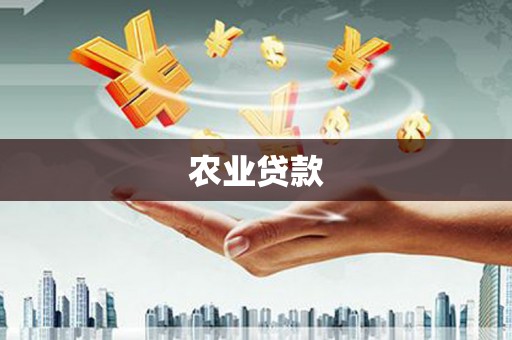 剑川农业贷款