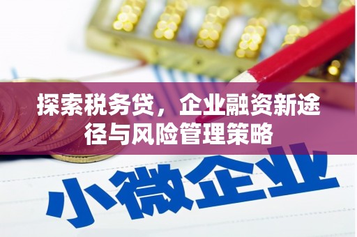 剑川探索税务贷，企业融资新途径与风险管理策略