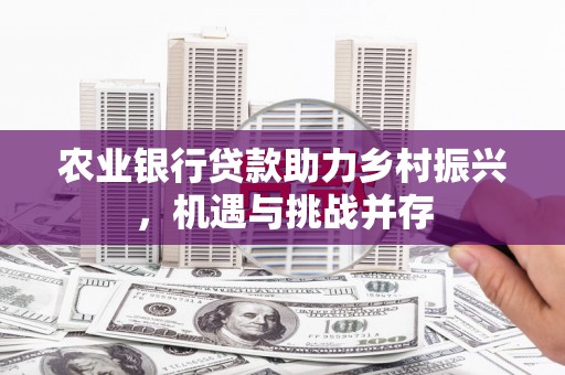 剑川农业银行贷款助力乡村振兴，机遇与挑战并存