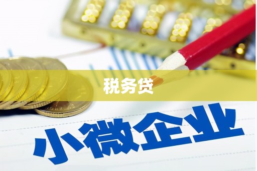 剑川税务贷