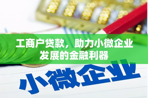 剑川工商户贷款，助力小微企业发展的金融利器