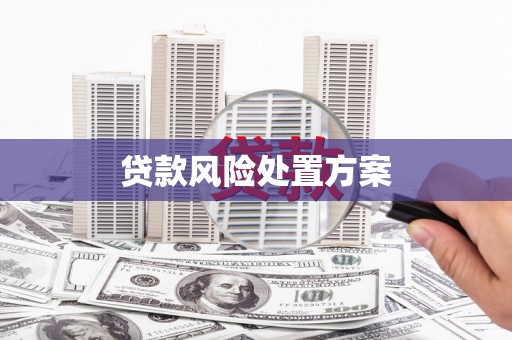 剑川贷款风险处置方案