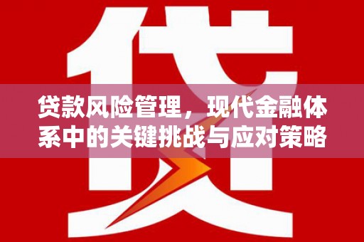 剑川贷款风险管理，现代金融体系中的关键挑战与应对策略