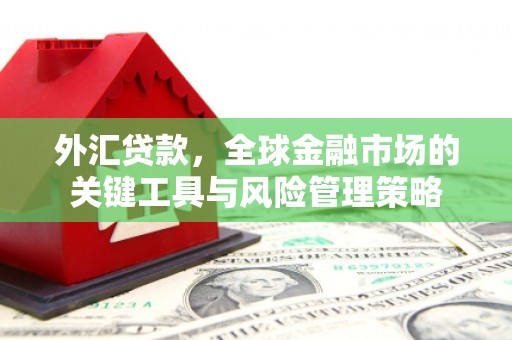 剑川外汇贷款，全球金融市场的关键工具与风险管理策略