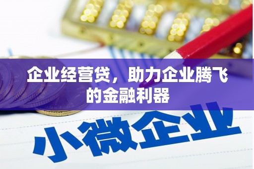剑川企业经营贷，助力企业腾飞的金融利器