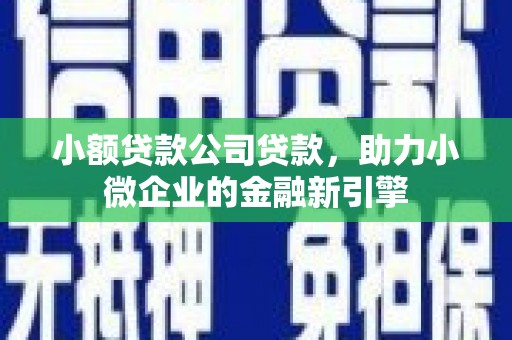 剑川小额贷款公司贷款，助力小微企业的金融新引擎