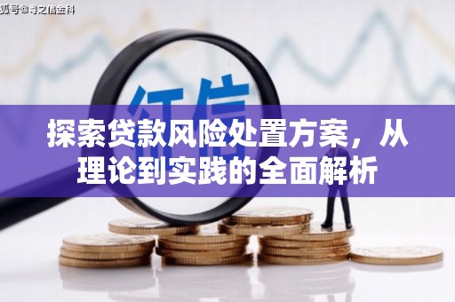 剑川探索贷款风险处置方案，从理论到实践的全面解析