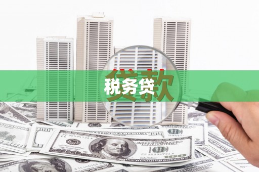 剑川税务贷