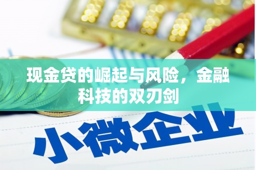 剑川现金贷的崛起与风险，金融科技的双刃剑