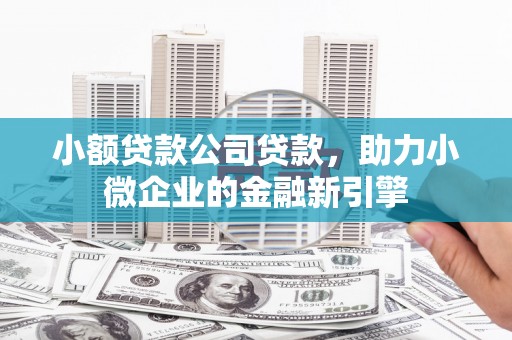 剑川小额贷款公司贷款，助力小微企业的金融新引擎