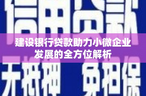 剑川建设银行贷款助力小微企业发展的全方位解析