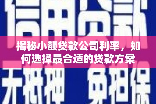 剑川揭秘小额贷款公司利率，如何选择最合适的贷款方案