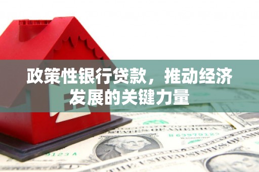 剑川政策性银行贷款，推动经济发展的关键力量