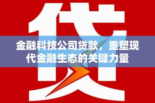 剑川金融科技公司贷款，重塑现代金融生态的关键力量