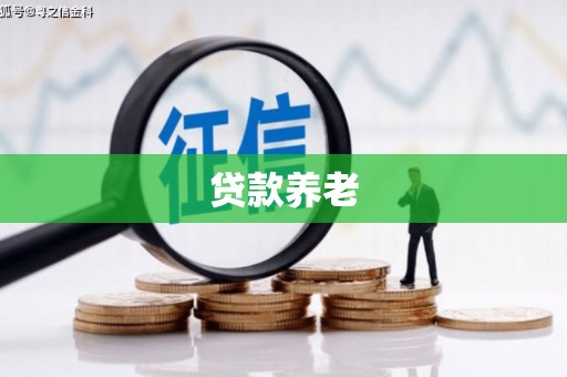 剑川贷款养老