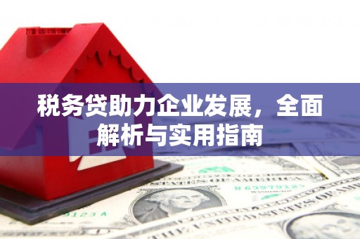 剑川税务贷助力企业发展，全面解析与实用指南