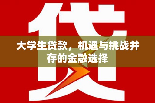 剑川大学生贷款，机遇与挑战并存的金融选择