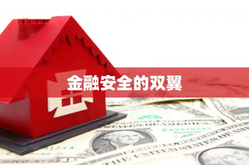 剑川金融安全的双翼