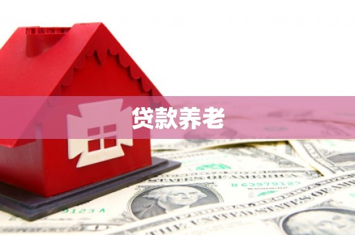剑川贷款养老