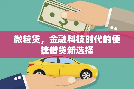 剑川微粒贷，金融科技时代的便捷借贷新选择