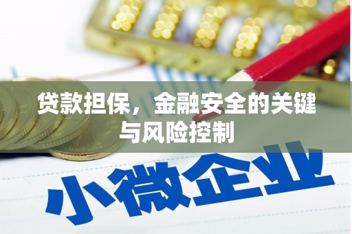 剑川贷款担保，金融安全的关键与风险控制