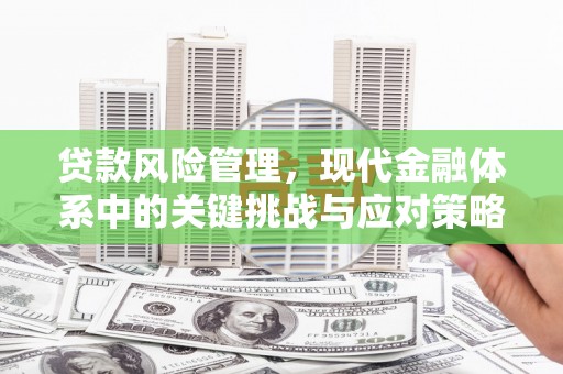 剑川贷款风险管理，现代金融体系中的关键挑战与应对策略