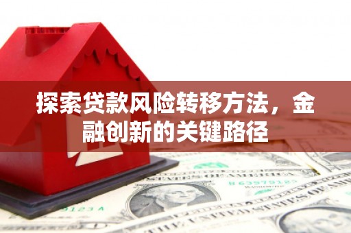 剑川探索贷款风险转移方法，金融创新的关键路径